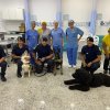 Cães da Guarda Municipal de Santos visitam a Santa Casa